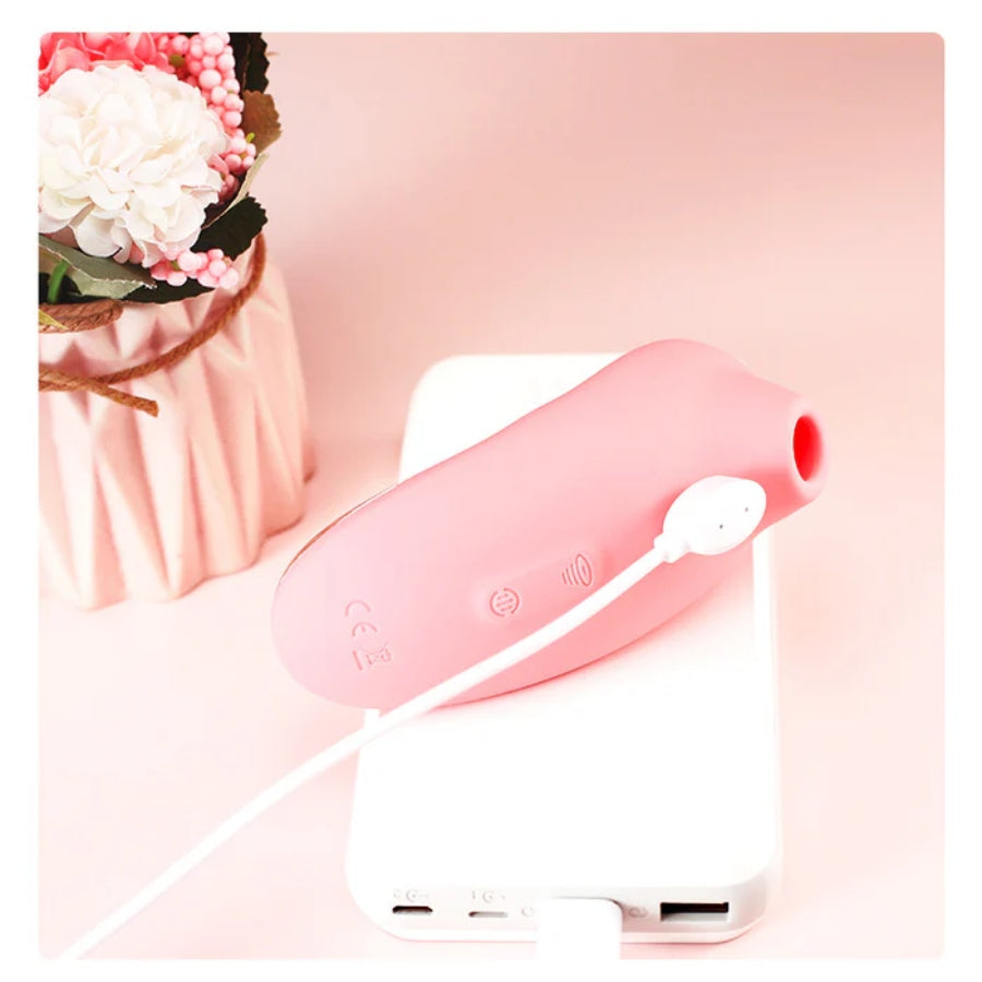 The 2 in 1 Clitoral Sucking Flap Vibrator