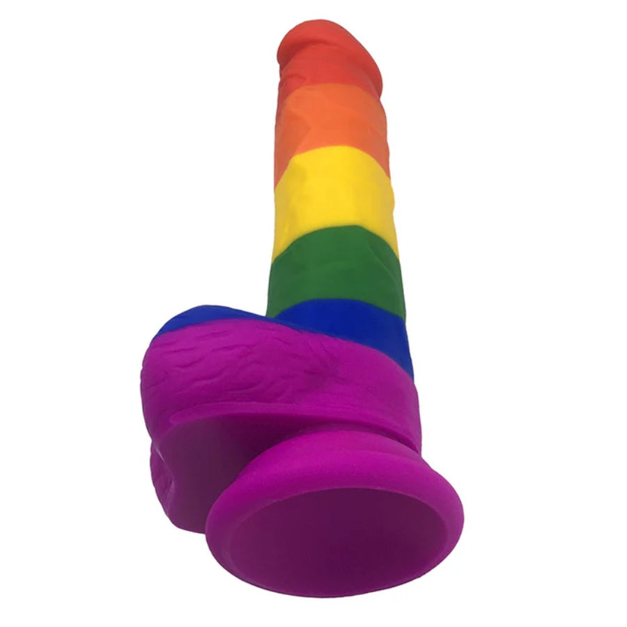 The Rainbow Silicone Dildo