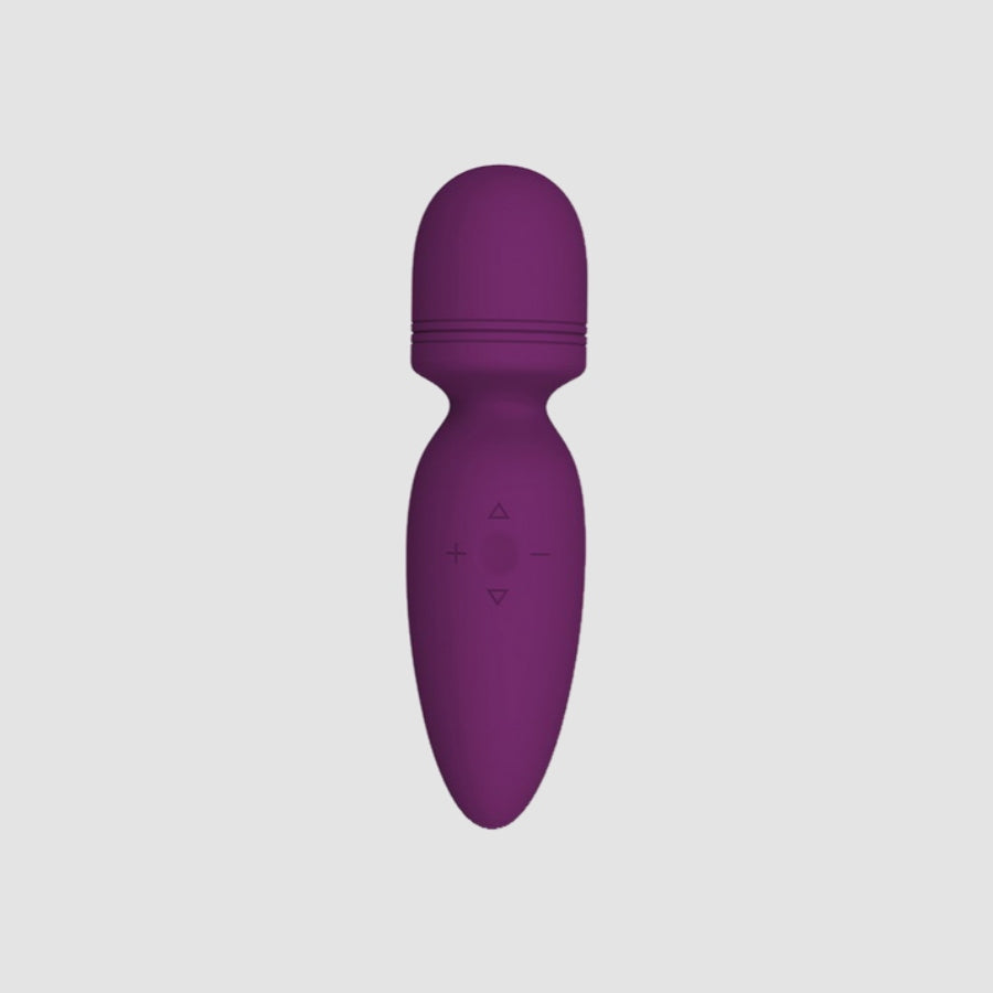 Baldwin Vibrator Wand